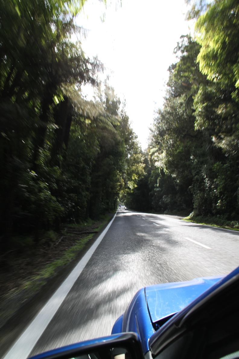 IMG_0764.JPG