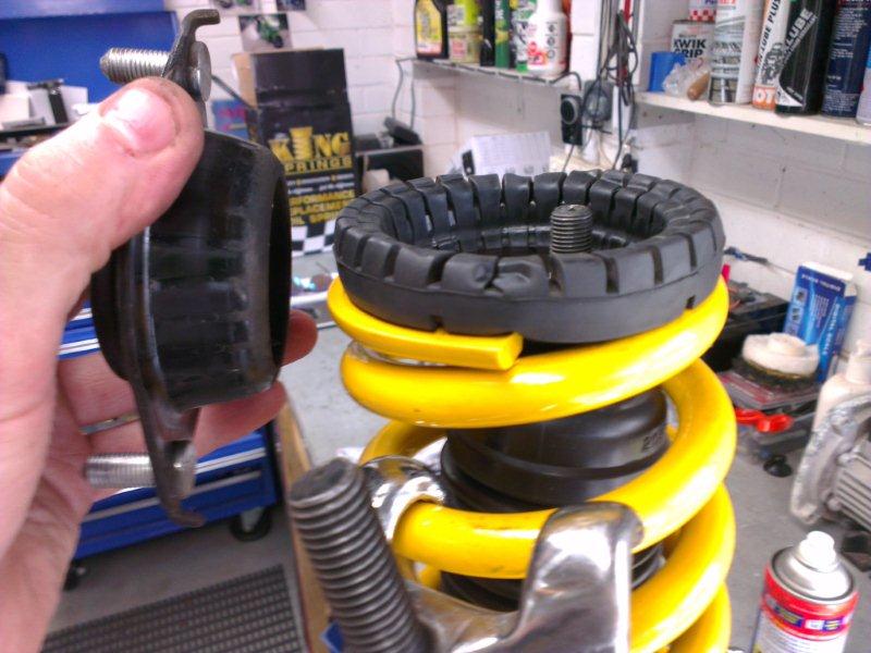 Subaru King spring 2.jpg