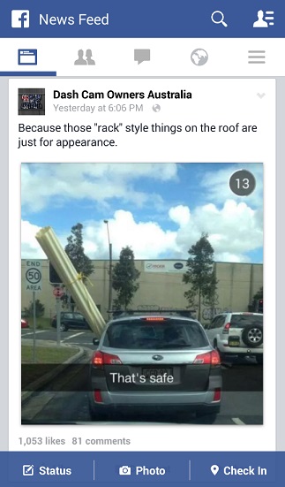 150906_spotted NSW.jpg