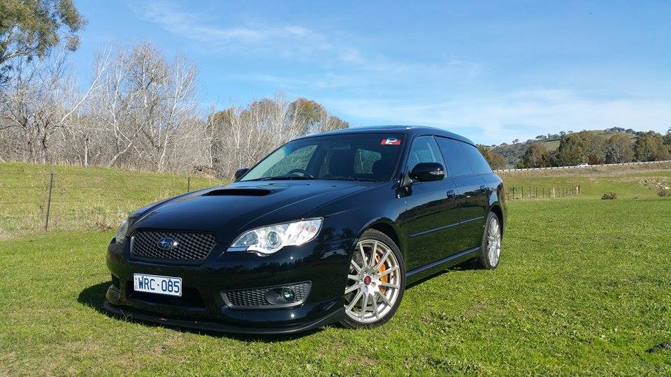 Lib in the paddock.jpg