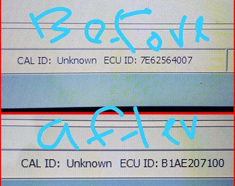 ECU ID before & after brick.jpg