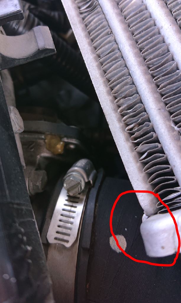 TMIC Bottom corner.JPG