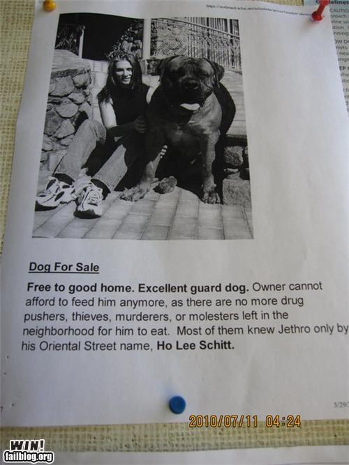 epic-win-photos-pet-ad-win.jpg