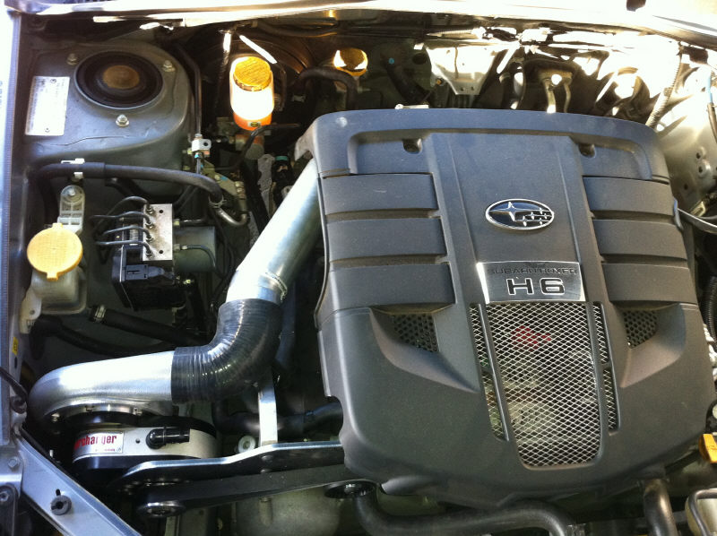 IMG_0373 (resized).jpg