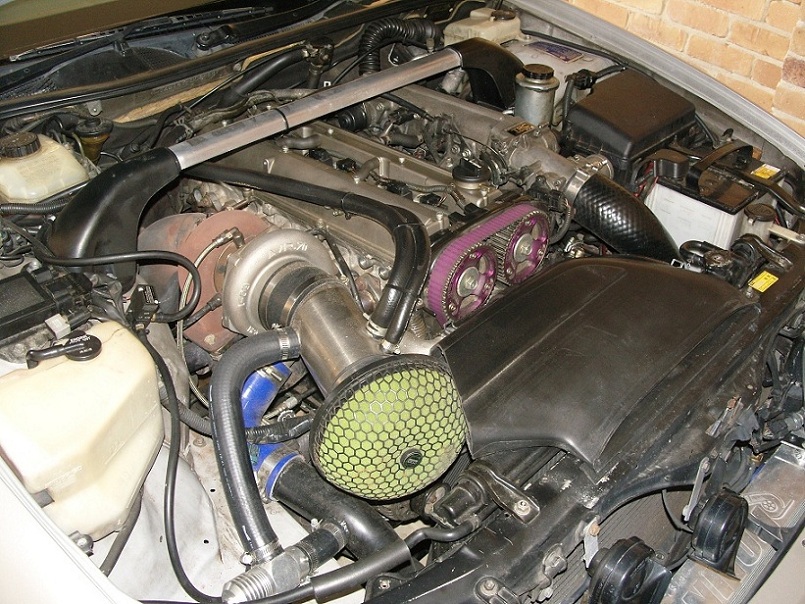 SNV11085 small.jpg