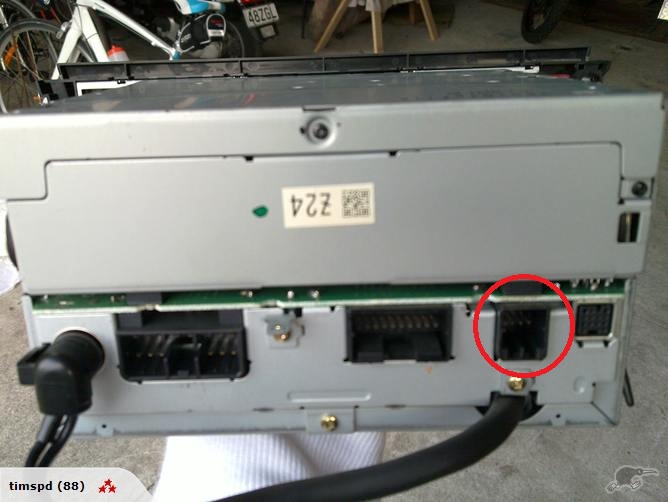 155640412_full.jpg