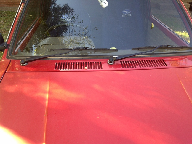 IMG-20110519-00177-1.jpg