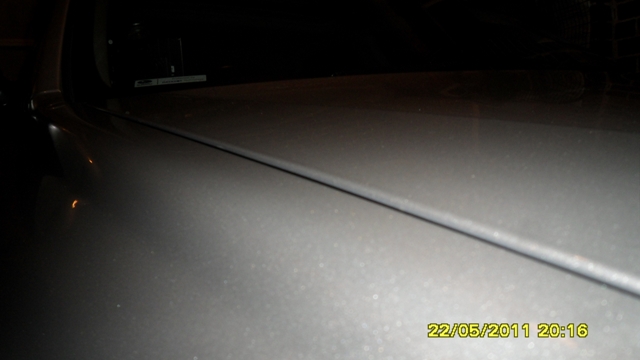 Bonnet (10).JPG