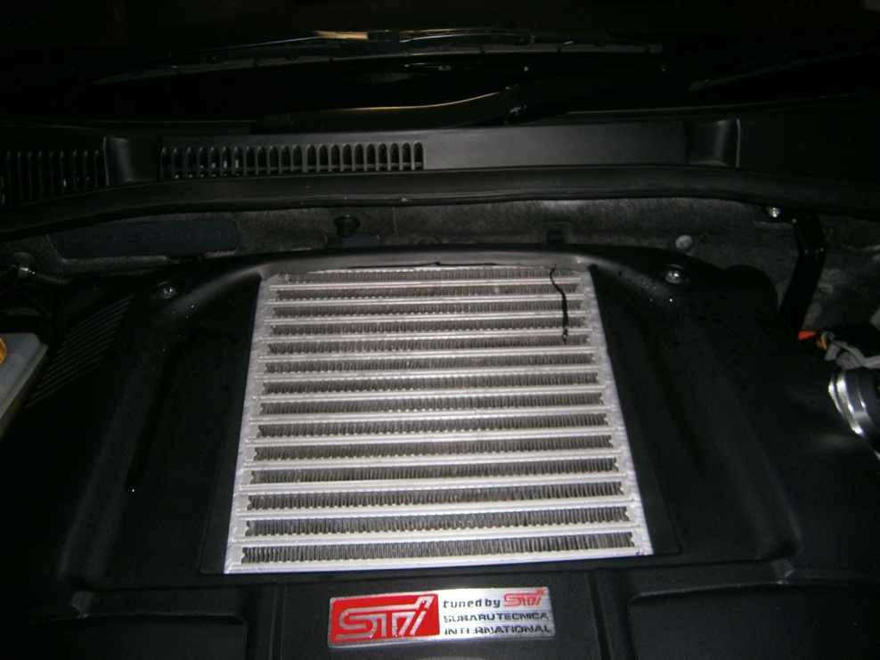 P9110426.jpg