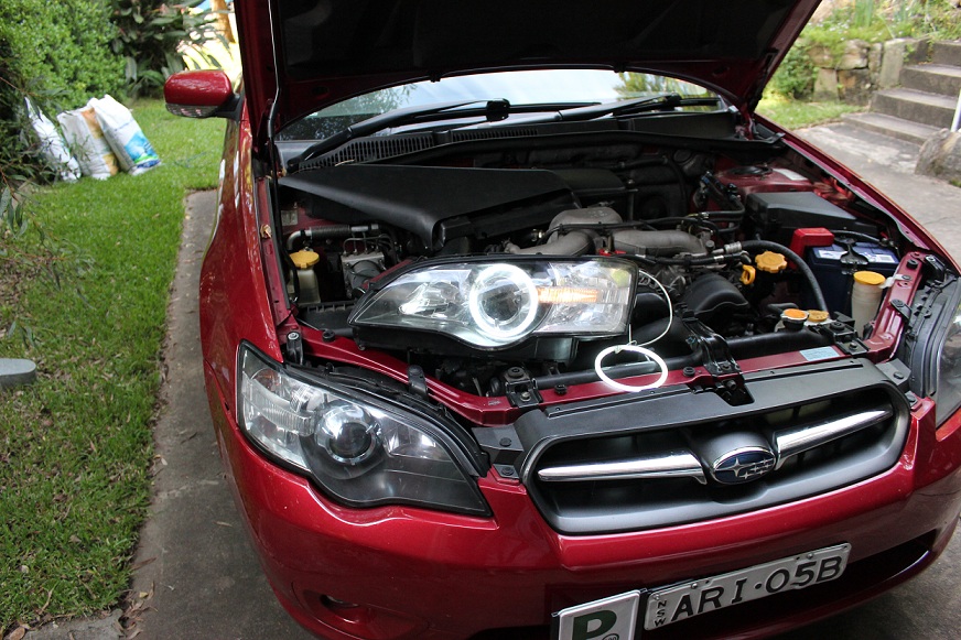 IMG_2122 low res.jpg