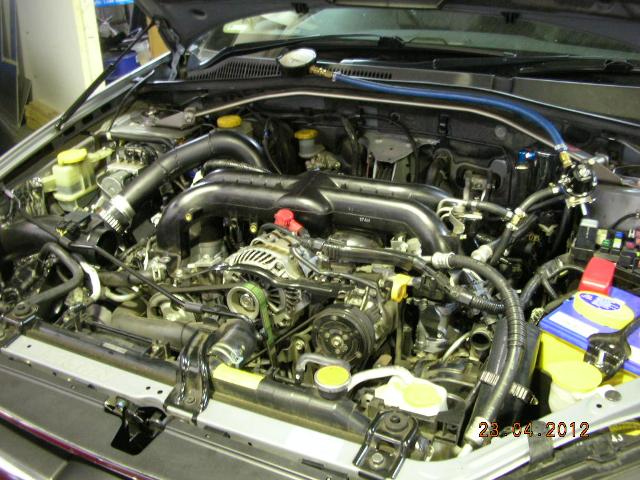 DSCN4425.JPG