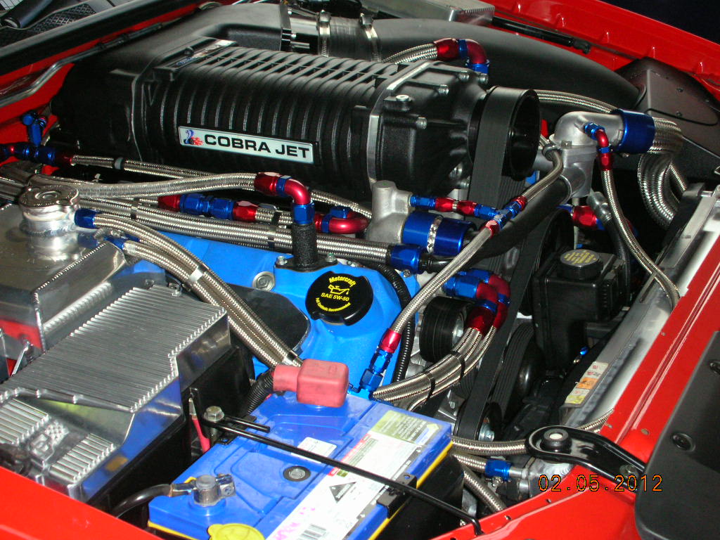 DSCN4454.JPG
