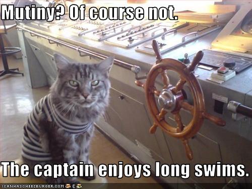 funny-pictures-cat-is-a-pirate.jpg
