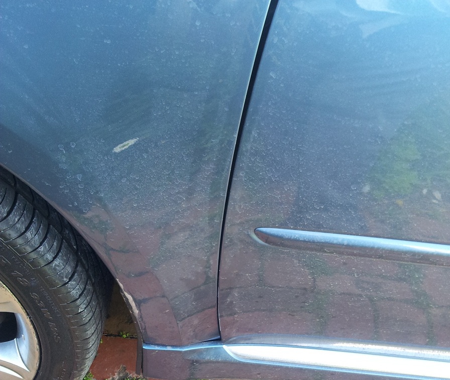20120912_094347.jpg