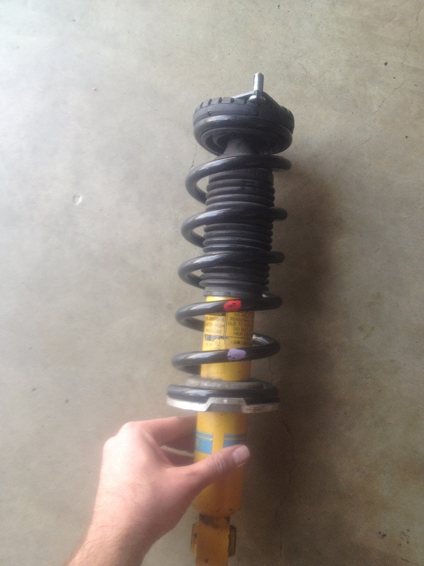 Bilstein Paint.jpg