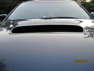 Subie%20012.jpg